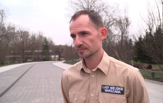 Coraz częściej dzikie zwierzęta pojawiają się w miastach. Pomaganie im może tylko zaszkodzić